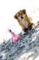 Preview: Flamingo Hundespielzeug
